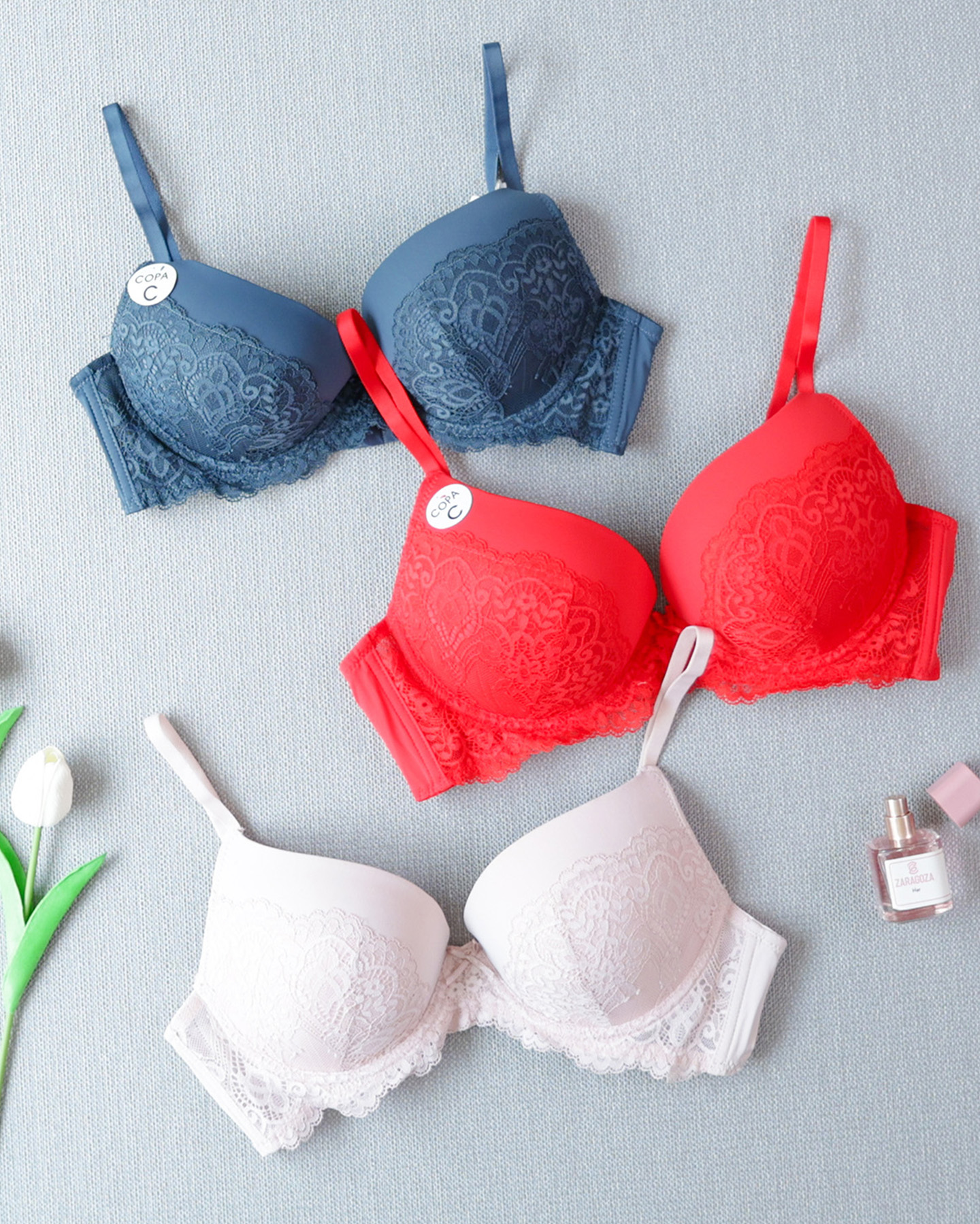 2025 برا بوش - الصورة 1